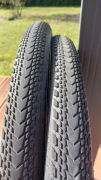 Schwalbe Marathon Almotion Evolution
