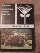 Zimozielone krzewy ozdobne - BLUSZCZ, MAHONIA I INNE