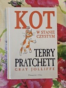 Kot w stanie czystym - Terry Pratchett, Garry Jolliffe