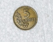 Moneta 5 GR GROSZY 1949 BRĄZ Rzeczpospolita Polska