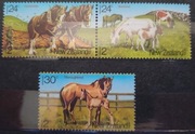 Fauna zwierzęta ssaki konie Nowa Zelandia