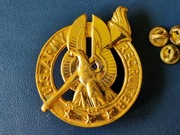 US Army Recruiter Badge - Gold z 3 gwiazdami - Vietnam