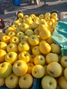 Kosztele 10 kg kosztela odmiany starych odmian jabłek 