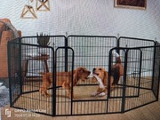 Kojec dla psa 8 paneli 8 cm