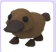 Platypus | Roblox | Adopt me |