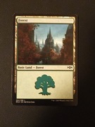 Forest (Ravnica Allegiance - Magic the Gathering)