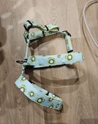 Szelki dla psa guard antyucieczkowe Schillar, wzór kiwi