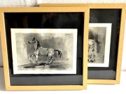 STUDIUM KONIA, zabytkowe ryciny w ramach.2 szt.OKAZJA!!!