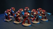 Warhammer 40k: Space Marines Primaris Hellblasters, Blood ravens