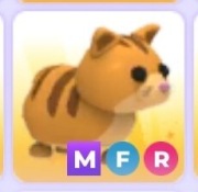 Adopt me! Gingercat MFR