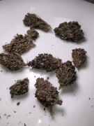 50g BlueBerry super susz CBD okazja promocja wyprzedaż premium 