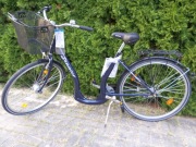 Rower Senator damski