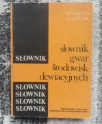 Klemens Stępniak - Słownik gwar środowisk dewiacyjnych