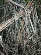 paski blachy używane