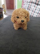 Zabawka interaktywna piesek