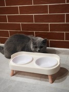 Miska 2w1 na karmę i wodę  Dla psa/kota – elegancka i praktyczna