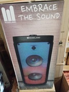 Imprezowy głośnik bezprzewodowy 