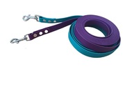 Smycz miejska z rączką 4m, kolory