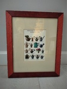 grafika z motywem florystycznym w ramie