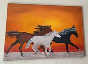Konie olej na płótnie 86x60 cm