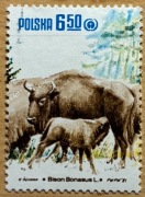 2611, * kasowany, Restytucja żubra