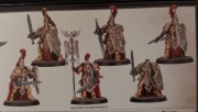 Adeptus Custodes - The Sentinel Guard Sodality (6x)