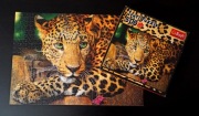 Puzzle Jaguar. Trefl 500