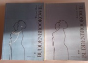 Tomasz Mann - Buddenbrookowie t. 1 i 2