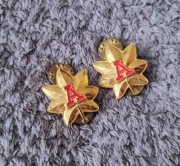 Przypinka - USCG Auxiliary - District Staff Officer (DSO) OF-3