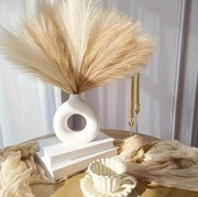 Trawa Pampasowa Duża Puszysta – Beżowa Dekoracja BOHO (Zestaw 24szt) 55cm