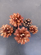 Szyszki sosnowe na stroik zestaw 500 szt