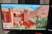 Monitor iiyama G-Master GB2770QSU-B1 Red Eagle 165Hz Fast IPS