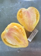 Pomidor Coeur De Zebra kolekcjonerskie nasiona