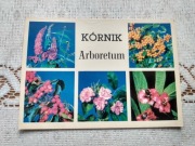 Kórnik - Arboretum (15)