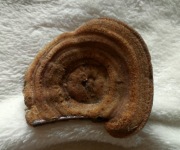 Agrafka - Ozdobne zapięcie do swetra nr 16