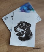 Rottweiler pirografia