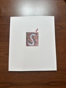 Teresa Radziewicz, ś