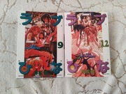 Love Hina - tom 9 i 12, manga, zestaw, po polsku, Waneko 