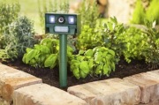 Odstraszacz zwierząt Garden Pleasure Solar-Tierschreck „FLASH”