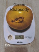 155-Green Rhapsody. Pomidory kolekcjonerskie.