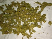 Legalny susz CBD topy trym 8.25% od producenta 2000g 2kg  WYPRZEDAŻ  