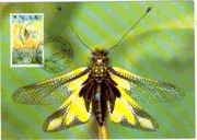 Lichtenstein - owad, maksymafilia (zestaw 11900) 