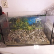 Akwarium 30 l. szczelne 