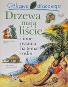 Ciekawe dlaczego drzewa mają liście - Andrew Charman