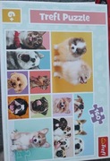 Puzzle trefl 160 elementów Psy