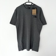 Szara koszulka t-shirt the north face grey tnf logo simple dome exploring