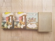 TRZEJ MUSZKIETEROWIE ALEKSANDER DUMAS