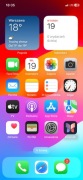 iPhone XS 256 GB używany