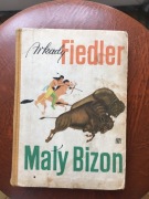 Arkady Fiedler - Mały bizon