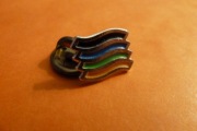 Województwo Śląskie Katowice logo pins przypinka